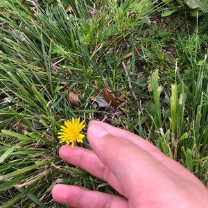 Meet your Posher, Lucia